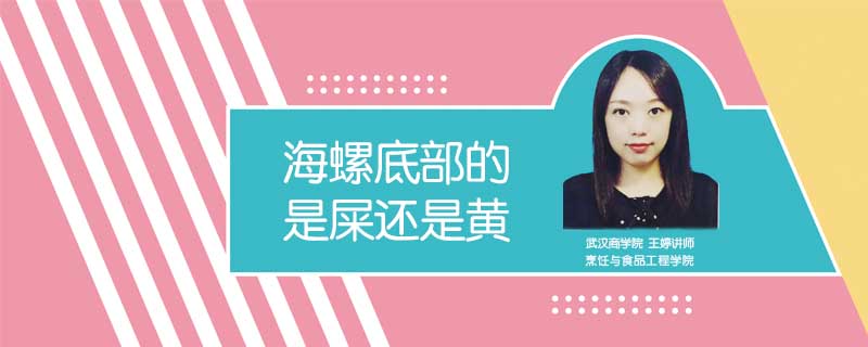 海螺底部的是屎还是黄