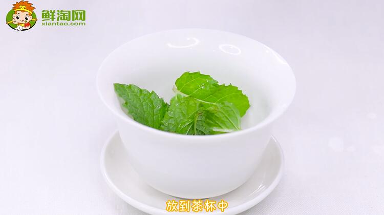 薄荷叶怎么泡水