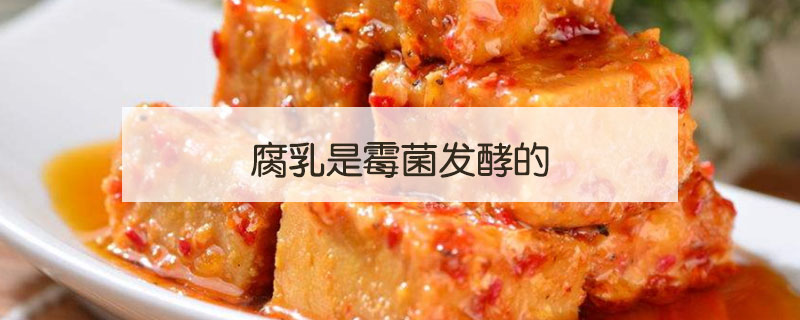 腐乳是什么菌发酵