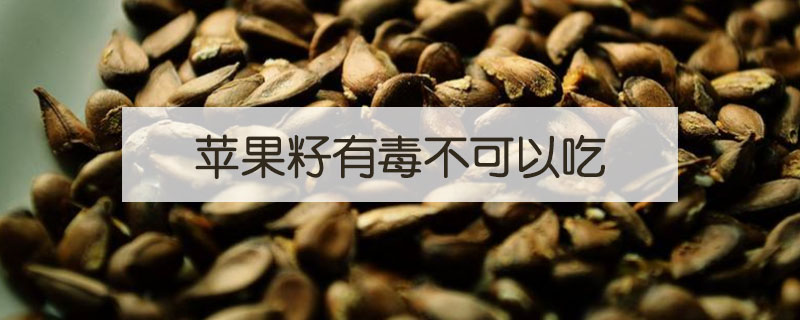 苹果籽打碎了可以吃吗