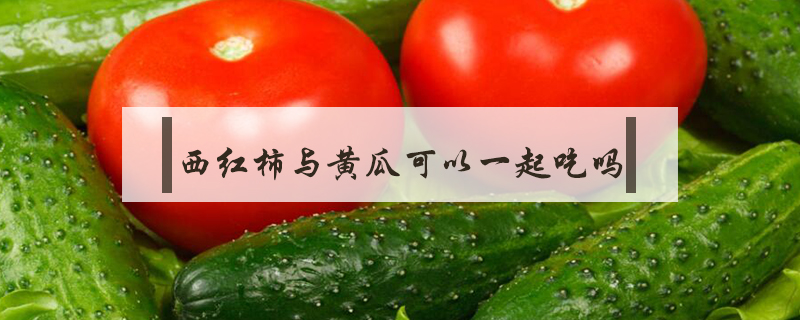 西红柿与黄瓜可以一起吃吗