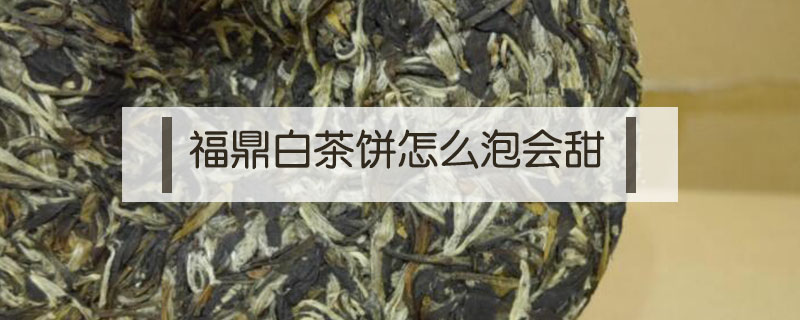 福鼎白茶饼怎么泡会甜