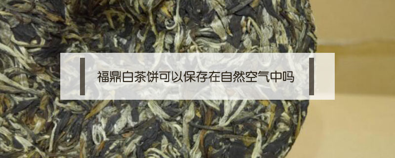 福鼎白茶饼可以保存在自然空气中吗