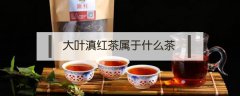 大叶滇红茶属于什么茶