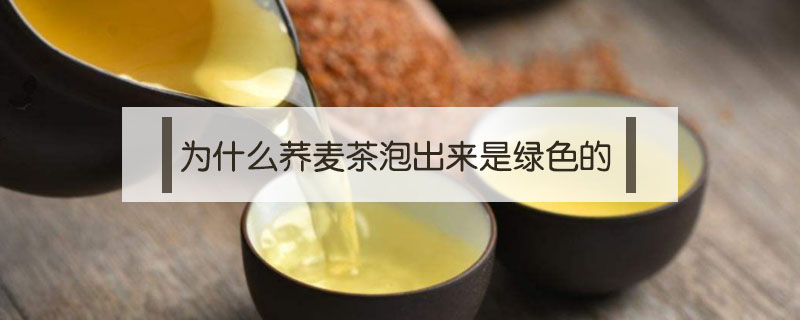 为什么荞麦茶泡出来是绿色的