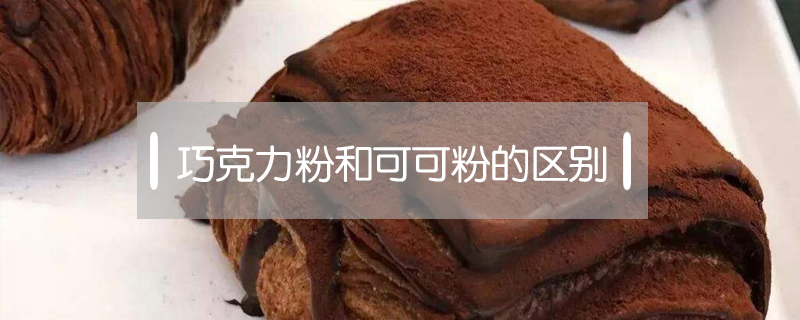 巧克力粉和可可粉的区别