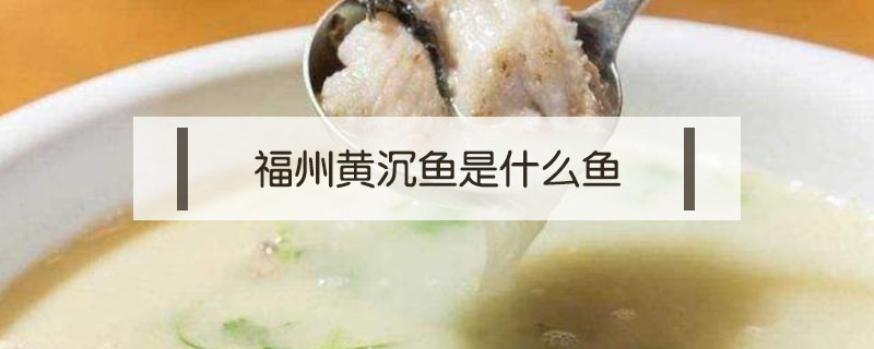 福州黄沉鱼是什么鱼