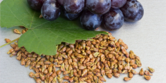 葡萄籽可以吃吗，葡萄籽能直接吃吗