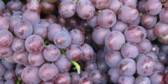 巨峰葡萄多少钱一斤，巨峰葡萄的营养价值