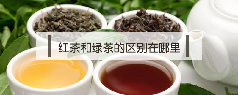 红茶和绿茶的区别在哪里