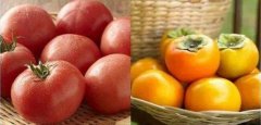 柿子和西红柿有什么区别，柿子和西红柿怎么分辨