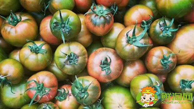铁皮柿子和西红柿有什么区别，铁皮柿子没熟为什么也好吃