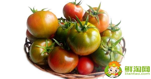 铁皮西红柿几月份成熟，铁皮西红柿成熟时间