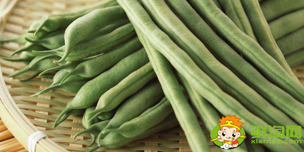 四季豆是什么季节的菜,四季豆是什么时候上市