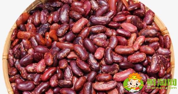 红芸豆和红腰豆的外观区别，红芸豆和红腰豆的区别在哪