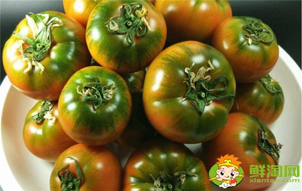 铁皮西红柿的特点，铁皮柿子营养成分