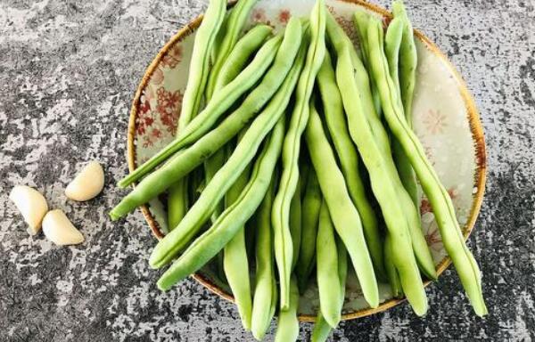 芸豆长什么样，芸豆品种图片大全