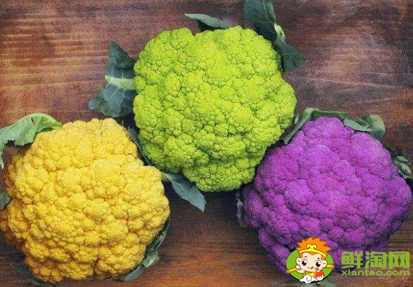 地菜花有几种颜色，菜花一年可种几次
