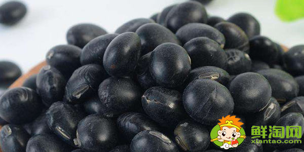 新鲜的日本芸豆是什么样子的，黑芸豆是什么样子的