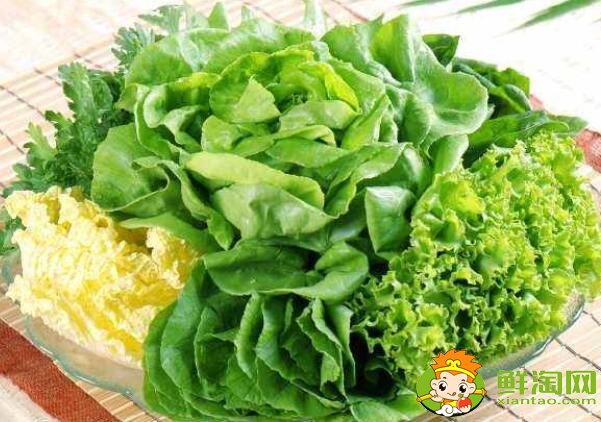 青菜有多少种,青菜有蛋白质吗