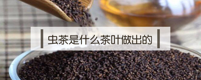 虫茶是什么茶叶做出的