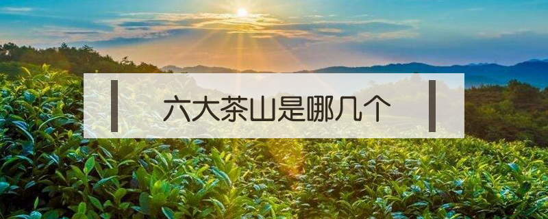 六大茶山是哪几个