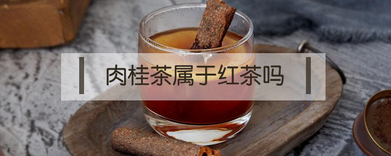 肉桂茶属于红茶吗