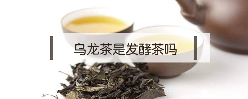 乌龙茶是发酵茶吗