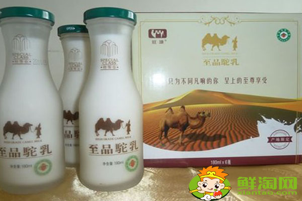 骆驼奶早睌喝还是空腹喝，骆驼奶的功效和作用