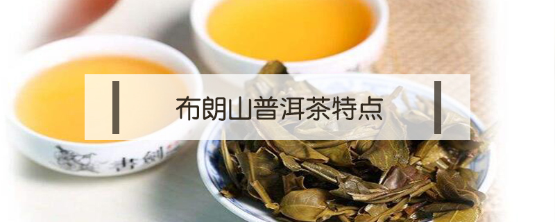 布朗山普洱茶特点