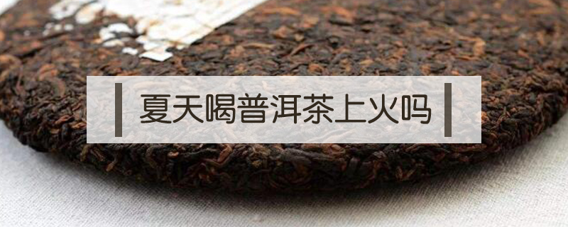 夏天喝普洱茶上火吗