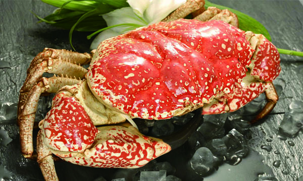  世界最大的帝王蟹有多大，帝王蟹产地哪里最好吃