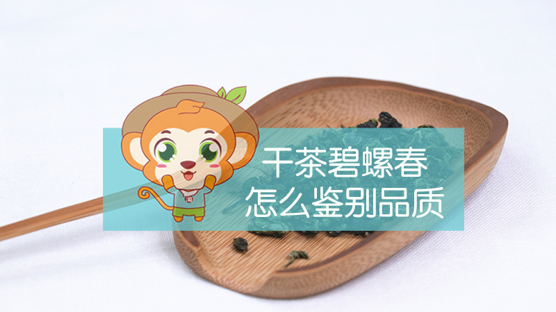 干茶碧螺春怎么鉴别品质