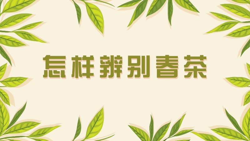 怎样辨别春茶