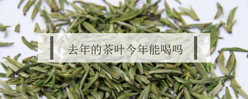 去年的茶叶今年能喝吗