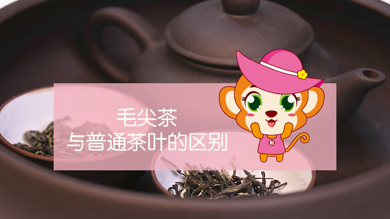 毛尖茶与普通茶叶的区别