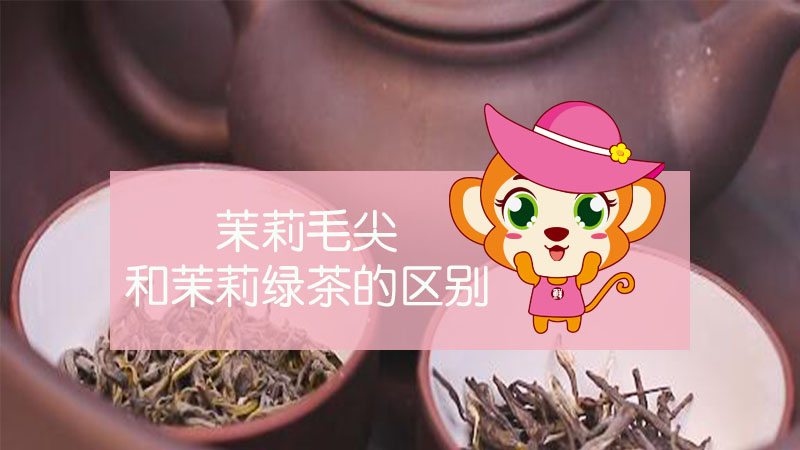 茉莉毛尖和茉莉绿茶的区别