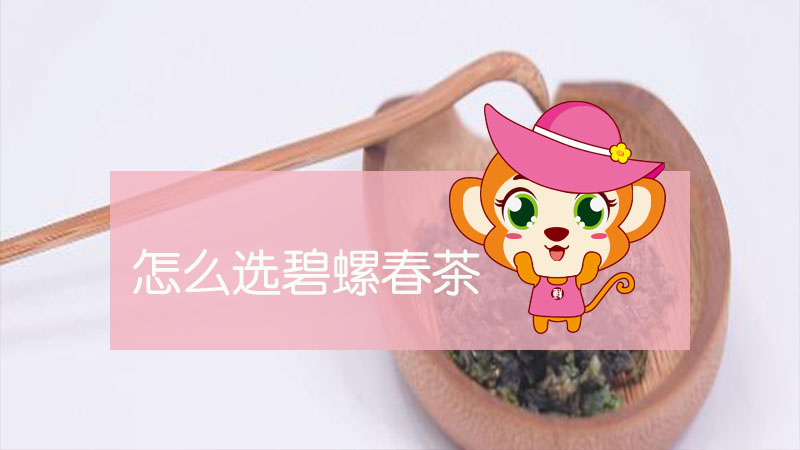 怎么选碧螺春茶