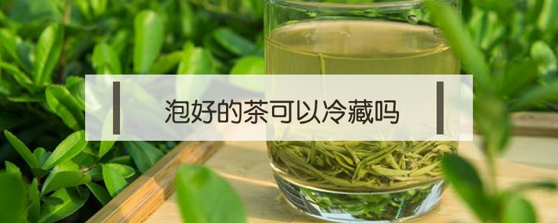 泡好的茶可以冷藏吗