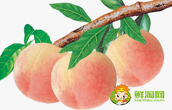 桃子产地主要在哪个省，桃子产地最多的地方是在哪里