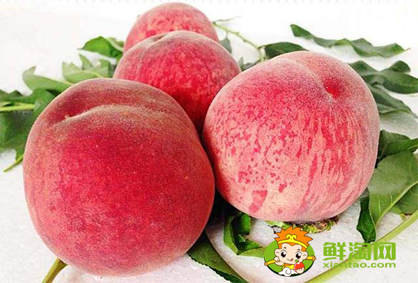桃子最甜的品种有几种，中国最甜的桃子含糖量