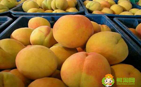 黄桃子的热量高吗，黄桃和桃子的功效与作用