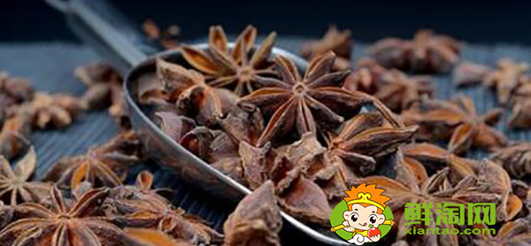 八角茴香孕妇可以吃吗,小孩吃八角茴香好吗