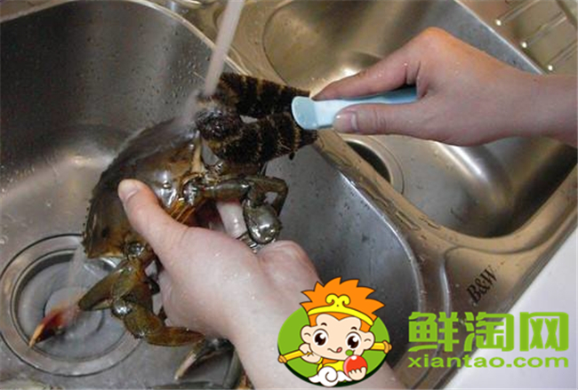 大闸蟹怎么洗才干净步骤，大闸蟹的做法和吃法