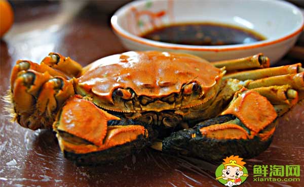 大闸蟹与螃蟹有什么区别，大闸蟹小孩能不能吃