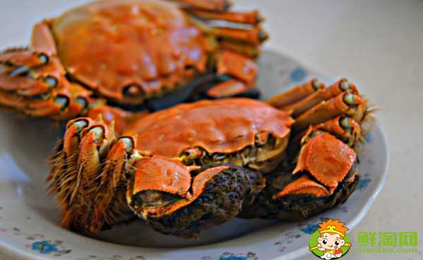 大闸蟹与螃蟹有什么区别，大闸蟹小孩能不能吃