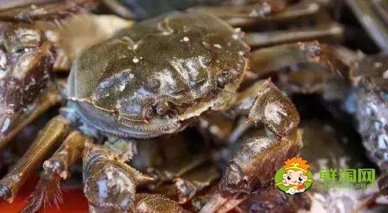 吃螃蟹是农历还是阳历，九月十月吃什么螃蟹