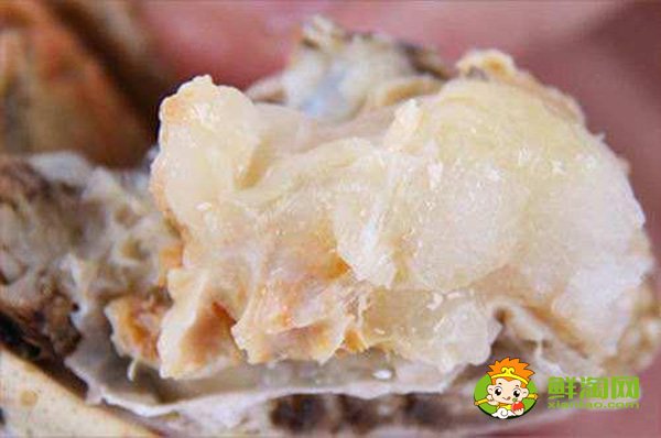 蟹黄和蟹膏分别是什么，梭子蟹蟹膏和蟹黄的区别