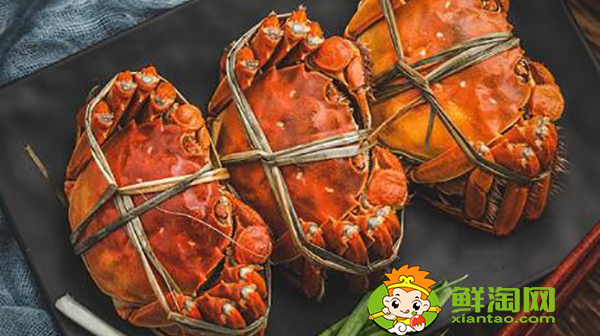 蟹黄是啥，中秋吃什么蟹有蟹黄