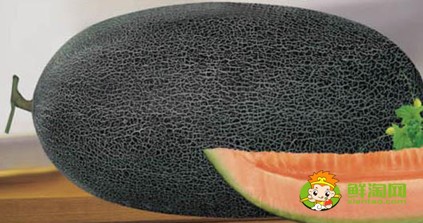 伽师瓜的吃法，伽师瓜都有哪些品种